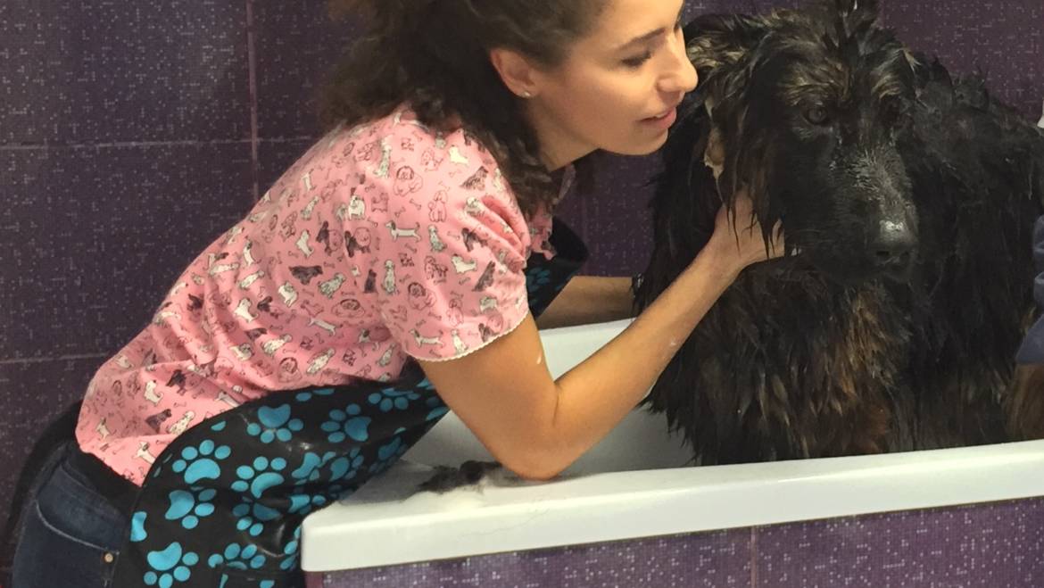 Beneficiile pe care baia le are pentru cainele vostru